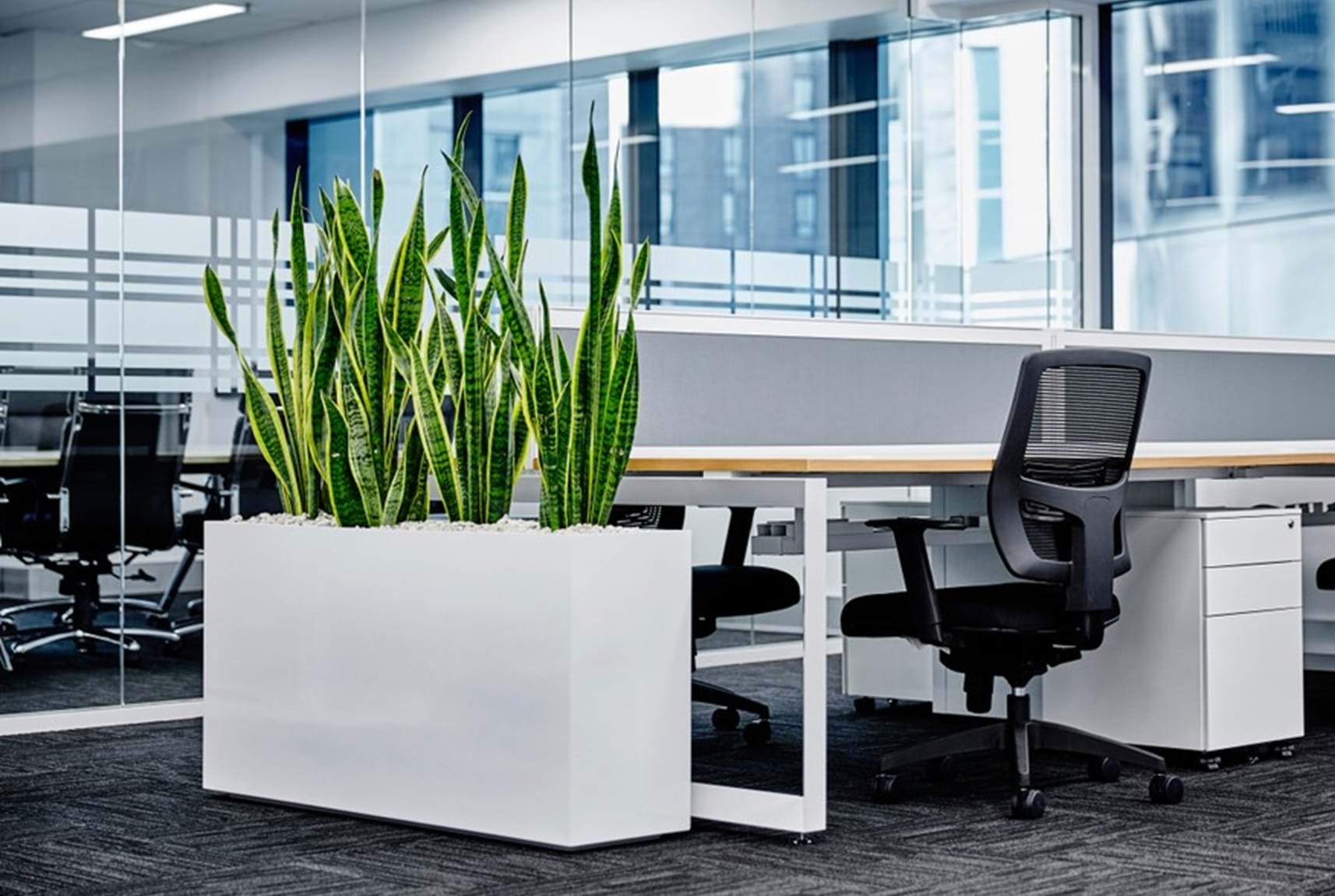 iStock_000015191080_Small