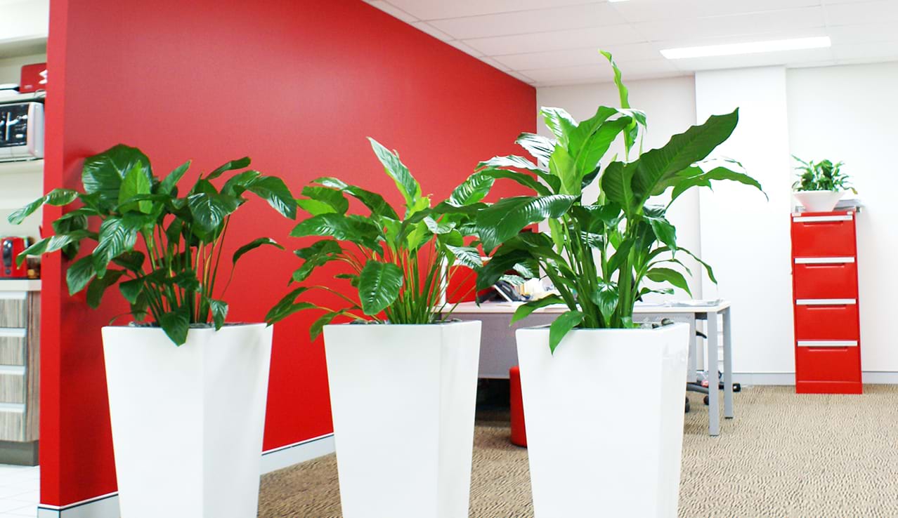 iStock_000015191080_Small